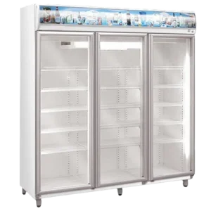 EXHIBIDORAS MT FRIDER 3P