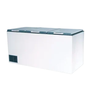 C 690, Conservadora de congelados y helados